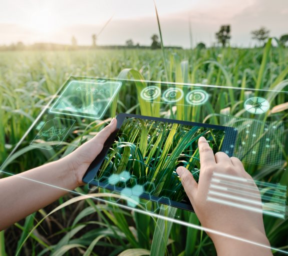 Tecnología para la monitorización de la biodiversidad